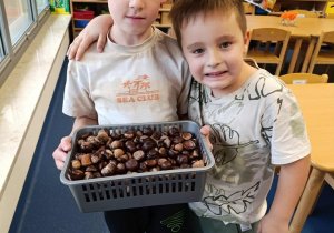 chłopcy trzymają kasztany