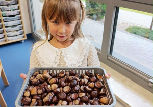 dziewczynka trzyma kasztany