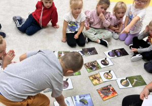 Zabawa dywanowa- sukanie zwierzat miejszkających w lesie