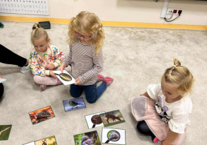 Zabawy dywanowe- leśne zwierzęta