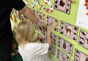 Leśne zwierzata- zabawa edukacyjna