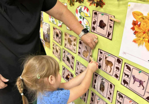 Zabawa edukacyjna o leśnych zwierzętach