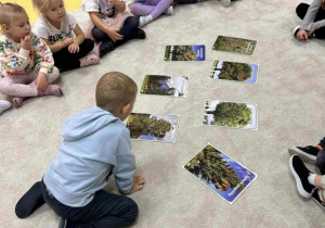 Zabawy dywanowe- rodzaje drzew