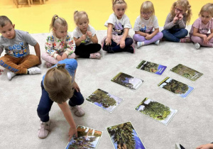 Leśne drzewa- zabawa dywanowa