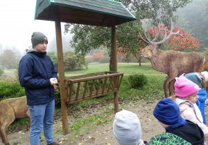 słuchanie opiwieści o karmieniu leśnych zwierząt