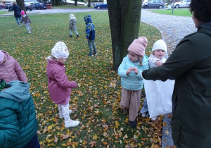 zbieranie listków do pracy plastycznej