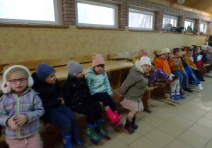 Jeżyki w Szkółce Leśnej Borowina