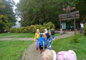 Zwiedzanie szkółki Borowina