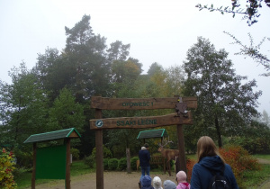 Poznanie ssaków leśnych