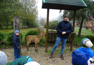 Opowieści pana leśnika o karmieniu zwierząt