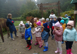 Słuchanie o ssakach leśnych