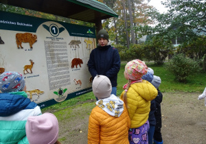 Słuchanie opowieści o ssakach leśnych