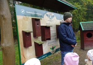 Słuchanie opiwieści o ptakach