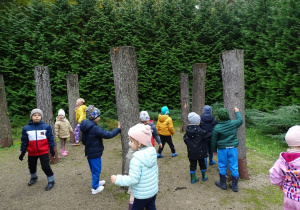 Dzieci oglądają drzewa naszych lasów