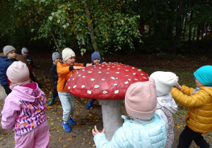 Oglądanie wielkich ekspomantów lesnych grzybów