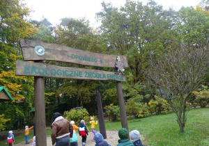 Ekologiczne źródła energii