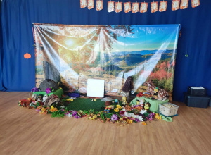 Fascynujcy świat mrówek