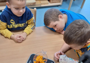 dzieci oglądają dynię