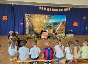 Fascynujący Świat Mrówek - Sówki