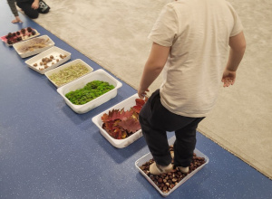 Ogólnopolski projekt edukacyjny "Gramy zmysłami" - październik - Ścieżka sensoryczna - Sówki