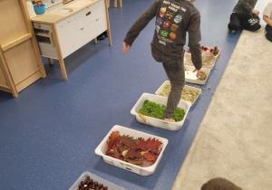 Dzieci idą boso po ścieżce sensorycznej ułożonej z darów jesieni