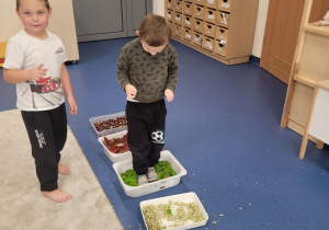 Dzieci idą bez butów po ścieżce sensorycznej ułożonej z darów jesieni