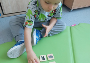 Chłopiec powtarza odgłosy wydawane przez zwierzęta, prezentuje ułożone pary