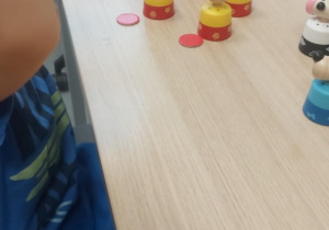 Dziecko posegregowało takie same zwięrzeta