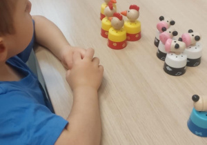 Chłopiec pogrupował zwierzęta