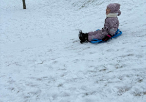 Dziewczynka zjeżdża na sankach