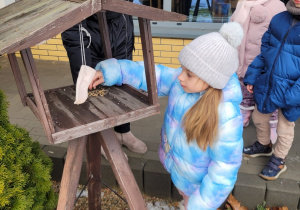 Dzieci sypia ziarno do karmnika