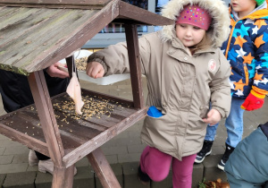 Dzieci sypia ziarno do karmnika