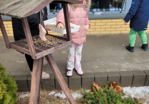 Dzieci sypia ziarno do karmnika