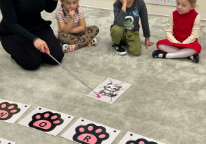 Części ciała kota