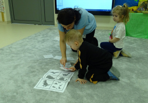 chłopiec dopasowuje cienie