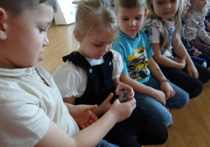 03 Dzieci oglądają mrówkę