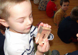 04 Dzieci oglądają mrówkę