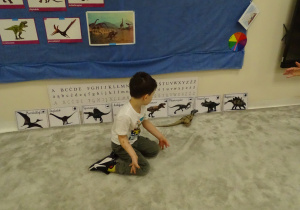 Chłopiec dopasowuje sylwetę dinozaura do obrazka.