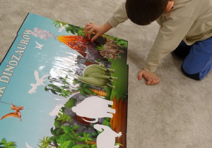 Chłopiec dopasowuje sylwetę dinozaura do konturu.