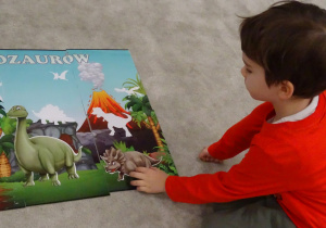 Chłopiec dopasowuje sylwetę dinozaura do konturu.