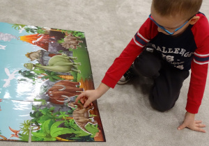 Chłopiec dopasowuje sylwetę dinozaura do konturu.