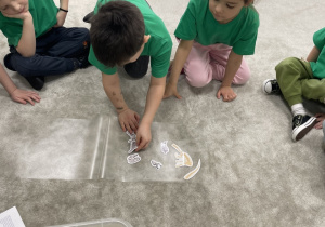 Zabawa w paleontologów.