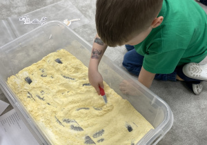 Zabawa w paleontologów.