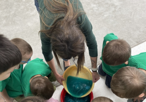 Poszukiwanie dinozaurów.