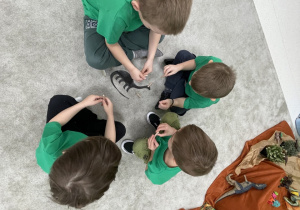 zieci przypinają klamerki do dinozaura według odpowiedniej kolejności.