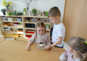 66 Chłopcy częstują dziewczynki ciastem