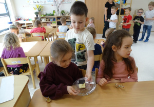 67 Chłopcy częstują dziewczynki ciastem