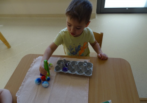 chłopiec przekłada pęsetą kulki