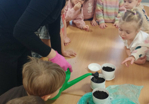 Pani podlewa zasiane pestki