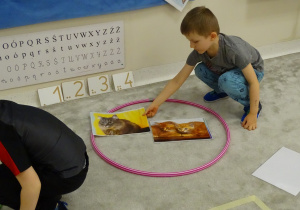 05 Chłopiec układa obrazek w odpowiednim zbiorze